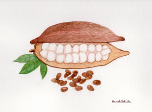 arelibelula cacao