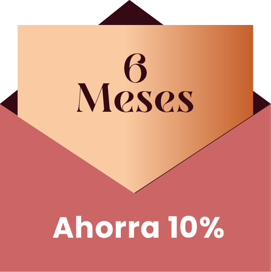 sus 6m 1